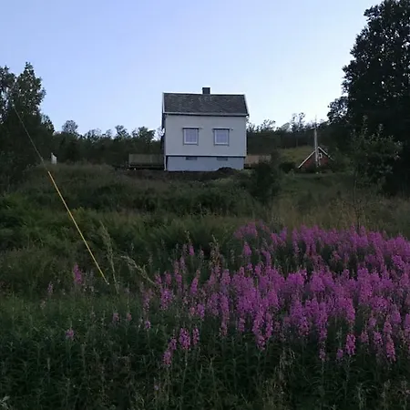 Kvaløya * Futrikelv